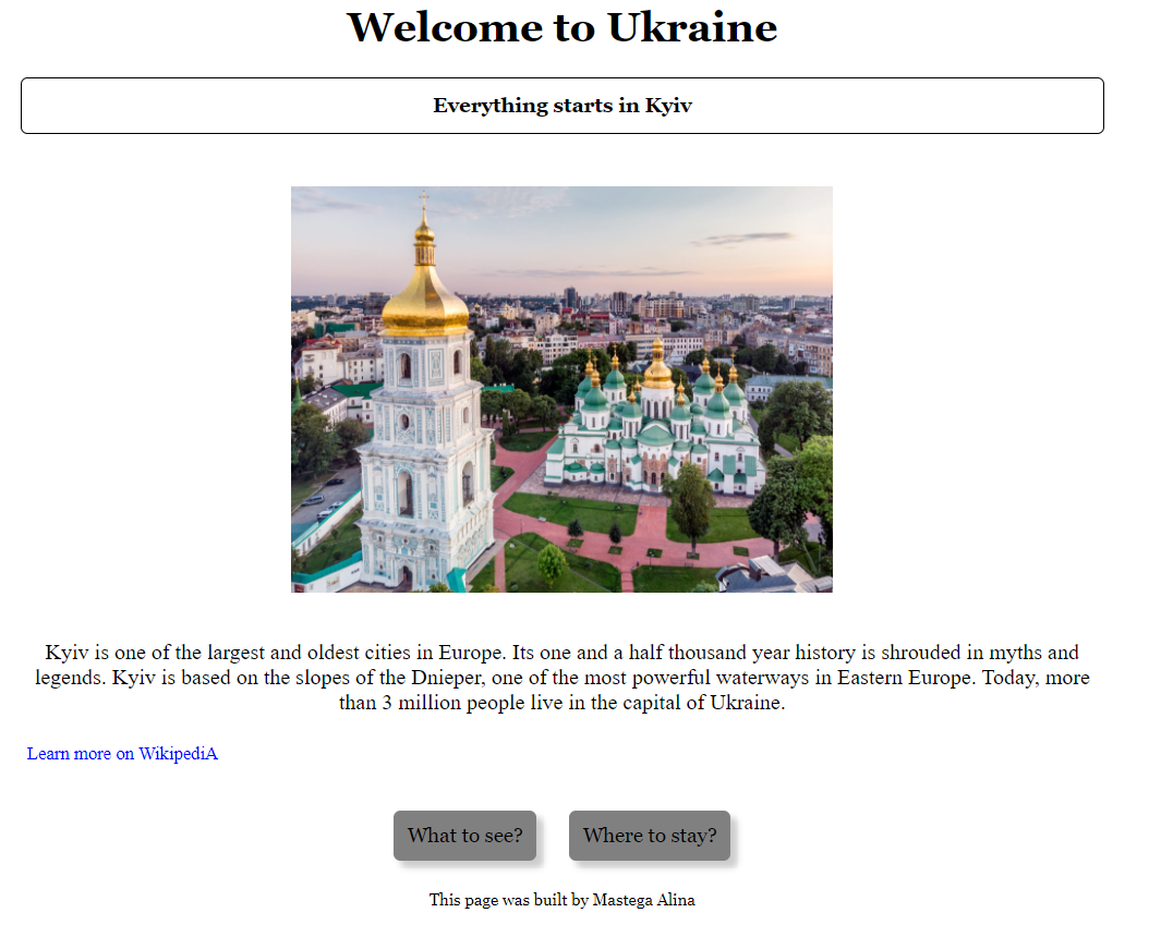 Kyiv project preview